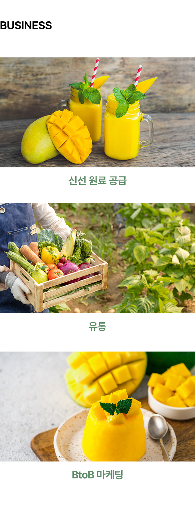 (주)에버그로_m